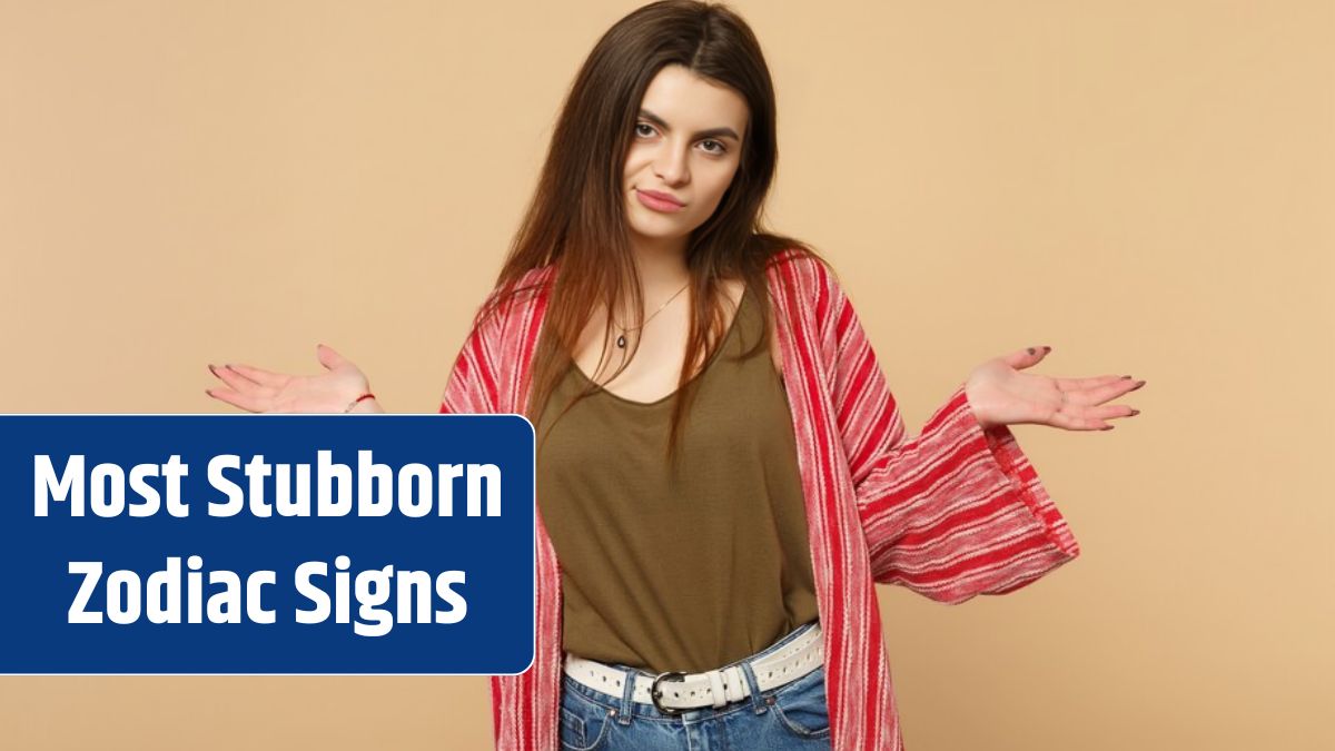 Portrait of displeased boring young woman in casual clothes spreading pointing hands aside isolated on pastel beige background in studio.